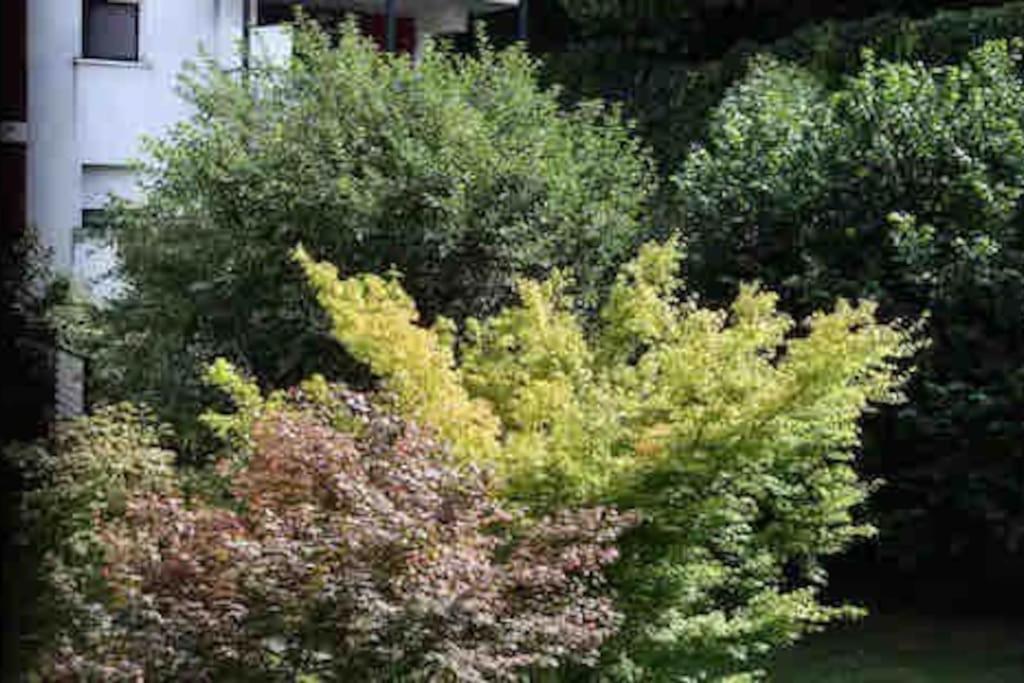 Patio Arena Διαμέρισμα Μπαγιόν Εξωτερικό φωτογραφία